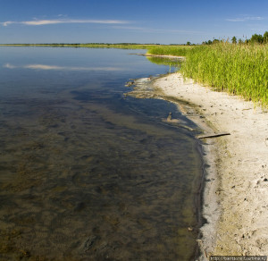 Озеро Медвежье Фото с сайта tourbina.ru