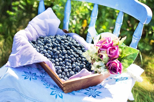 blueberries-870514_640
